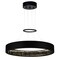 Cwi Lighting Rosalina LED Chandelier With Matte Black Finish 1040P26-101 - alternate 1